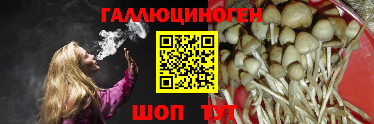 Галлюциногенные грибы Psilocybe  Вход с VPN  Галлюциногенные грибы мицелий  Горячий Ключ 